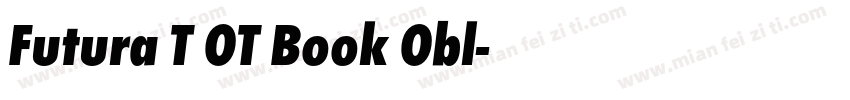 Futura T OT Book Obl字体转换